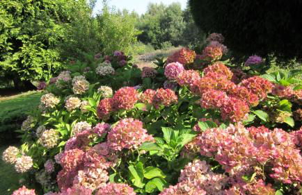 The Paddocks Cottages - Foto 46