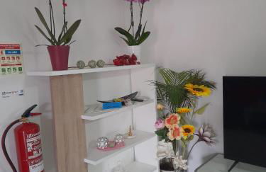 Paraíso da Foz do Sabor - Foto 7