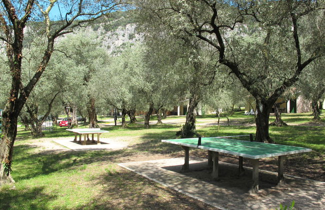 Parco del Garda - Photo 26