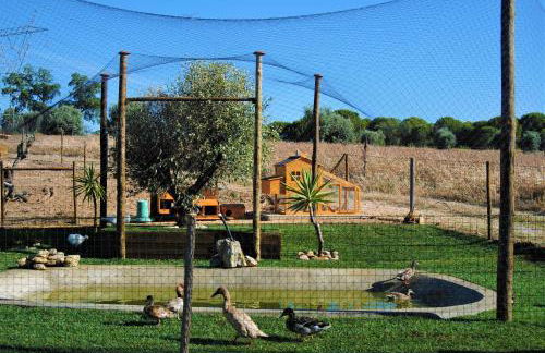 Monte Sossego by Estilo Lusitano, com piscina privada - Foto 39