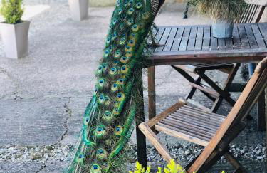 The Saddlery Cheshire - Photo 16