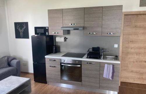 Apartment, Zimmer, Ferienwohnung - Foto 3