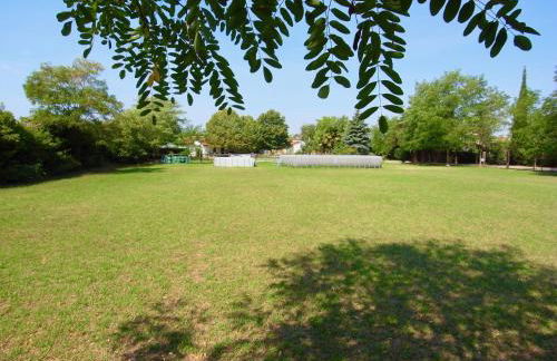 Società Agricola La Staccionata - Foto 8