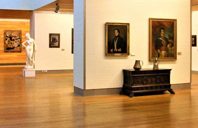 Visita guiada pelo Museu de Belas Artes - Foto 5