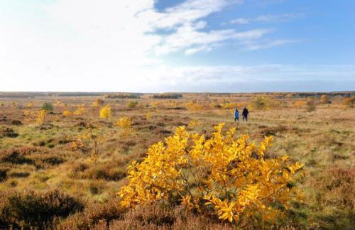 Ferienhaus Kiebitz mit Sauna - Foto 13