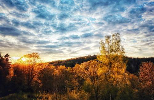 Quartier Apartment - alte Steigerbaude - Foto 1