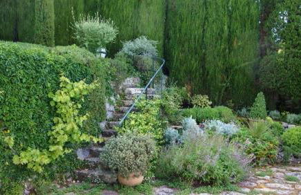 domaine des tilleuls d'or - Foto 30