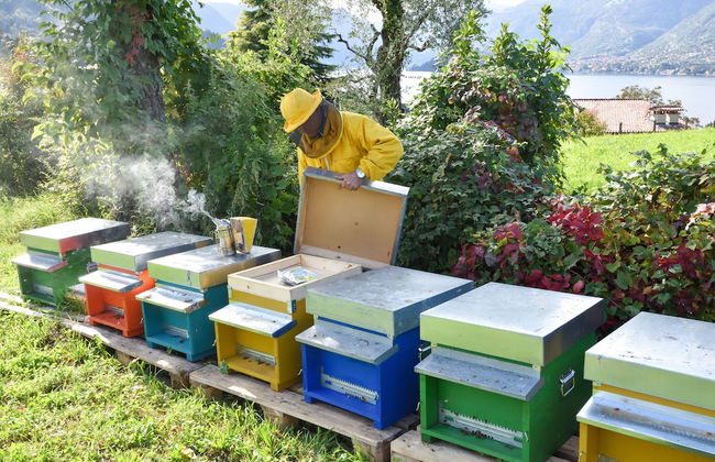 Agriturismo Il Colle - Foto 70