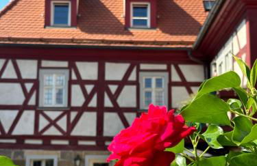 Cosy historic brewery with beautiful outdoor space - Foto 48