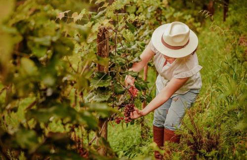 Chalé com Vista para Vinhedo e Natureza - Foto 50