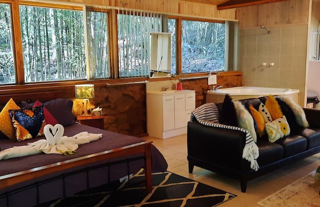 Treetops Accommodation Montville - Photo 16