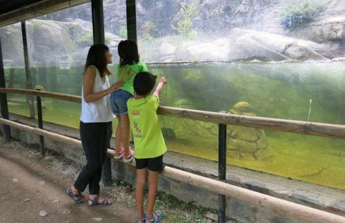 Apartamentos Rurales Les Barnedes - Foto 32