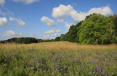 Mirabellenhof - Kleine Ferienwohnung mit Altstadtblick - Foto 10