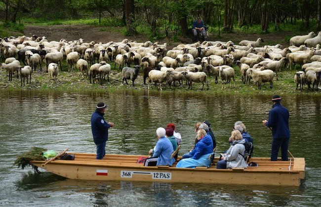 Jaworki Green Dream - Foto 29