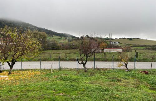 Villa Olympus - Photo 22