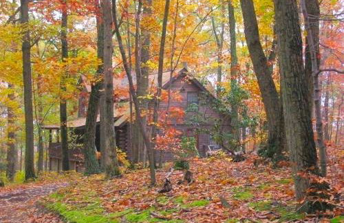 Spacious and Rustic Cabin Rental in the Woods near Catoctin Mountain Park, Maryland - Foto 20