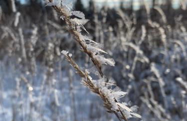 Kathrin`s Appartment - Foto 22