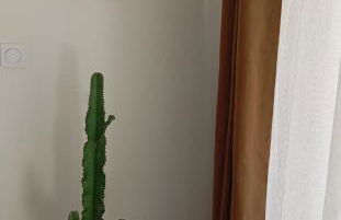 Amazing brand new 50 sqm flat - 5min from gondolas - Foto 10