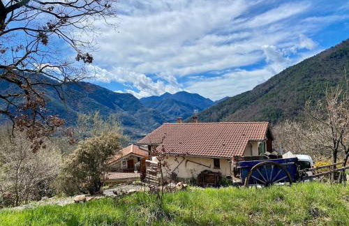 Le Soleil de Flaut Beautiful studio house Nature - Foto 10