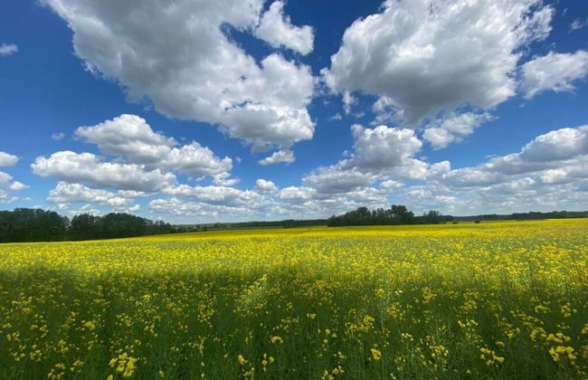 Holiday Home Magpie's Nest - Photo 9