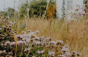 West Cottage by Bloom Stays - Photo 33