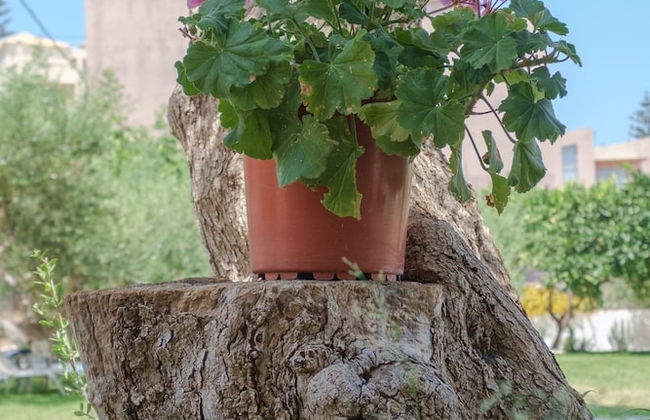 Newly renovated Garden Flat - Photo 23