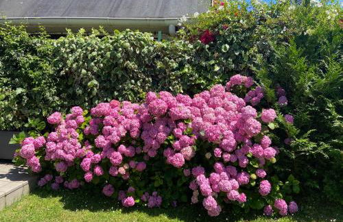 Mundaka Beachfront House - Foto 6