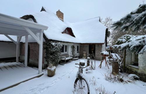 Naturwerk Ostsee - Foto 8