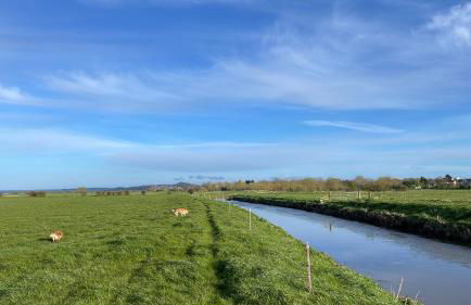 Conkers - a new bespoke rural escape near Glastonbury - Foto 36