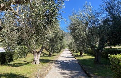 Sant'Anna del Volterraio - Bilocale Piazzetta - Foto 24