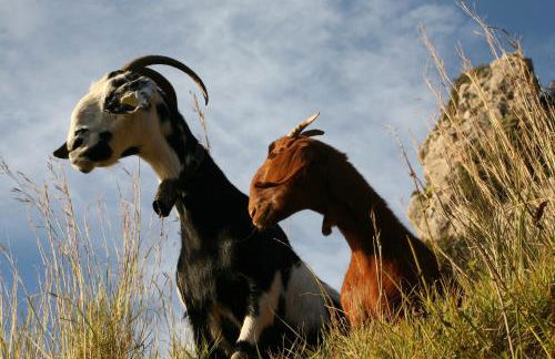 Agriturismo Mare e Monti - Foto 122