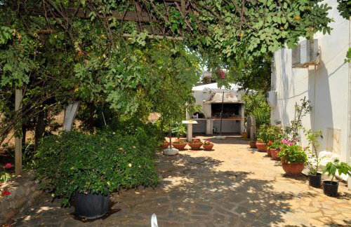 Sani Kasimis - Foto 44