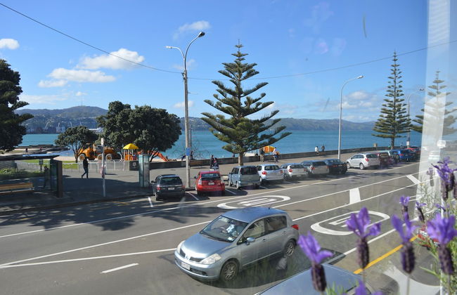 Private Bay House - Photo 1