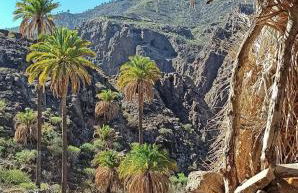 MINI estudio El Reloj - Foto 15