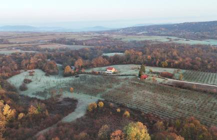 Monte Symphony - Foto 17