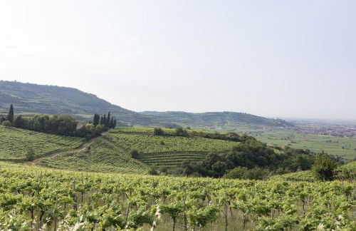 Corte dei Soavi Suites - Apartments - Foto 9