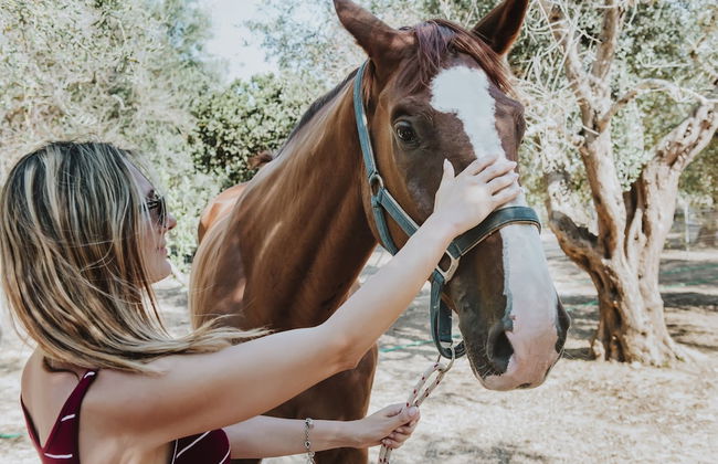 Masseria L'Uliveto - Foto 35