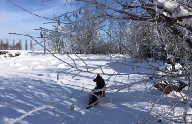 Gorgeous Vacation Home With Pool - Foto 19