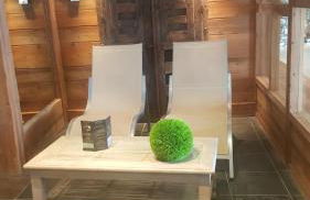 Apartment A 01 in St Martin de Belleville - Foto 34