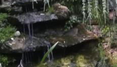 Haus am See - Photo 5