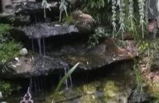 Haus am See - Foto 5