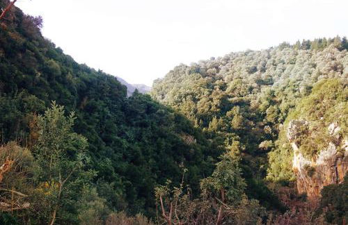 Kleanthi's House - Photo 25