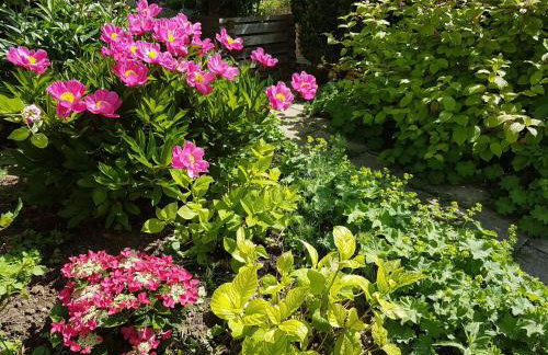 Feriendomizil Bergamini - Foto 28