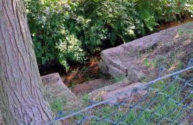 Ferienwohnung in der Grünheck - Foto 35