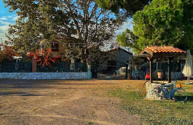 Ayvalık Sural Çiftliği Since 1899 - Foto 35