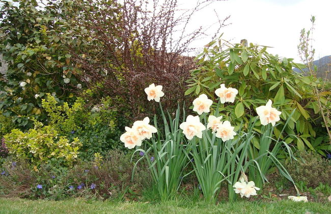 A Casa da Eira - Foto 46