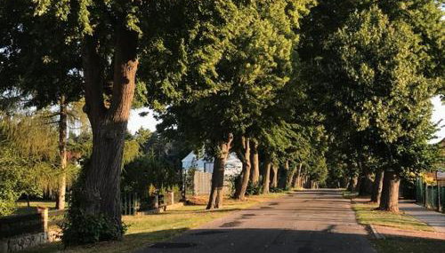 Siesta Country - Foto 2