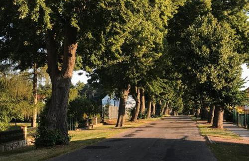 Siesta Country - Foto 2