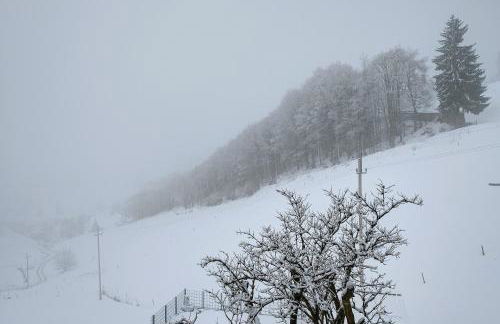 Ferienwohnung Haus Eckhof - Foto 23