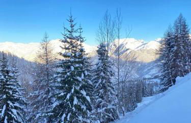 Résidence le DORONIC Duplex 8 pers La Plagne 1800 - Foto 18